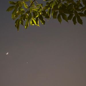 顶针坠地怎拾秋？