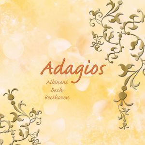 Concerto for Two Oboes in F Major, Op. 9 No. 3:II. Adagio