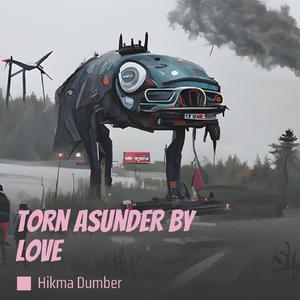 Torn Asunder by Love