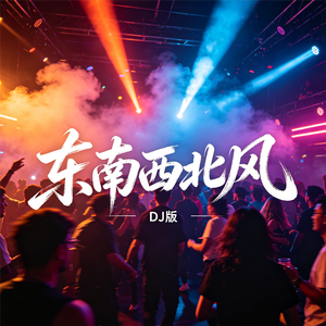 东南西北风(DJ版)