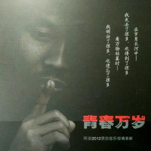 青春万岁 - 2012老版