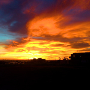 君と見た恋の景色