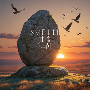 沉默的石头-19片叶子