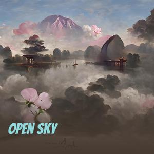 Open Sky