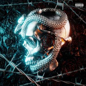 凤仙花Garden balsam[Ft.极品贵公子]