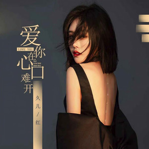 爱你在心口难开 (伴奏)