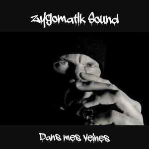 Dans mes veines (feat. Big Head)