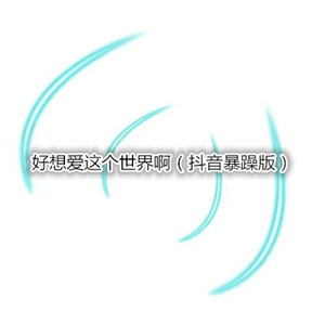 你是我曾经拼命爱过的人 (暴躁版)