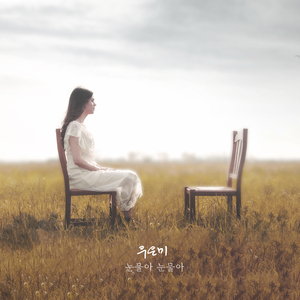 눈물아 눈물아 (Inst.)