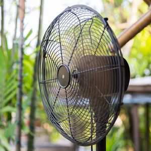 Soothing Breeze of Fans