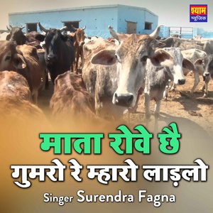Mata Rove Chh Gumgo R Mharo Ladlo