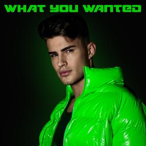 What You Wanted