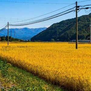 很远很远的最近