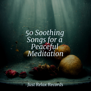 Frenzied Zephyr's Rhapsody