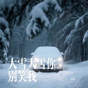 大雪大雪你别笑我