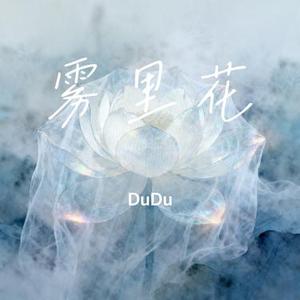 雾里花 (Cover 陆杰awr)