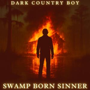 Took the Blame (Dark Country Music)