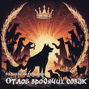 Отлов бродячих собак