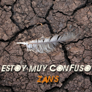 Estoy Muy Confuso