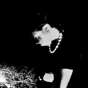 Zooted Freestyle (feat. Eastside Eli, Qua & Zootopia)