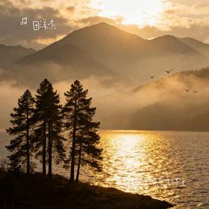 爱人先爱己 谋爱先谋生 (Cover 李发发)