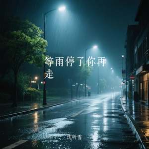 等雨停了你再走