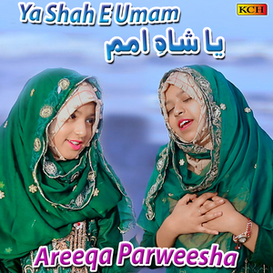 Metha Metha Hai Mery