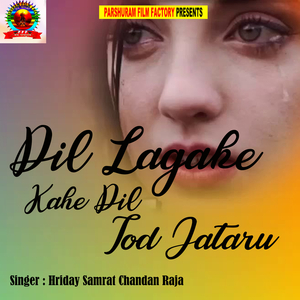 Dil Lagake Kahe Dil Tod Jataru