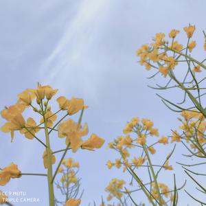 若你也曾见过他们