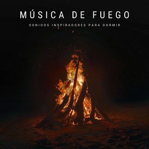 Ardiendo Con Las Llamas Del Optimismo