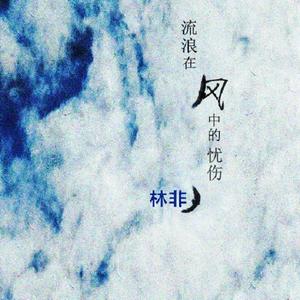 流浪在风中的忧伤