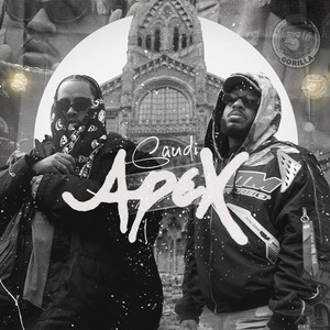 Gaudi Apex