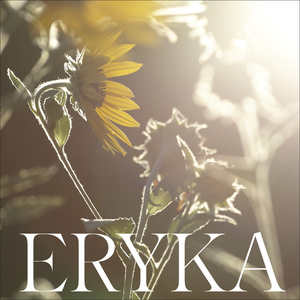 この花が咲いたら ～いのちの種～（Instrumental）