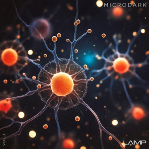 Pozzy (Original Mix)