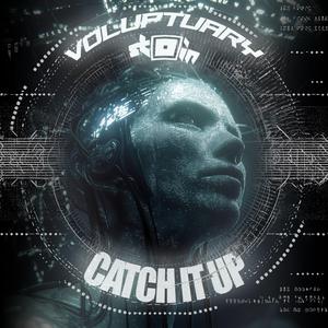 Catch It Up (feat. STOIN)