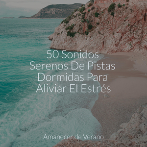 Armonías Encantadas de la Cumbre