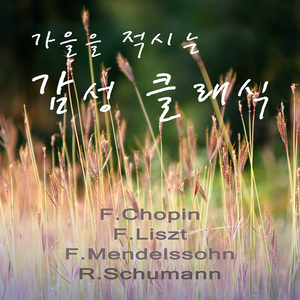 F.Liszt - 라캄파넬라 Paganini Etude S.141 No.3 'La Campanella'