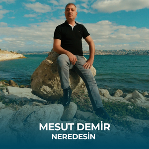 Neredesin