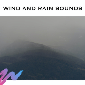Rain Wind (Loopable)