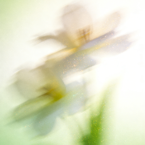 我在等你主动，你在等我有空