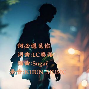 何必遇见你