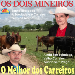 Carreiro Sem Guiada