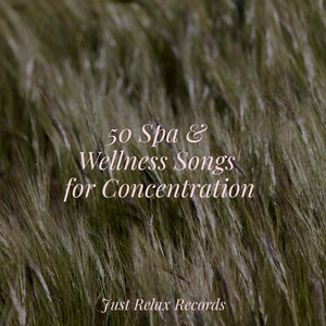 Enveloped in Shadowed Silence