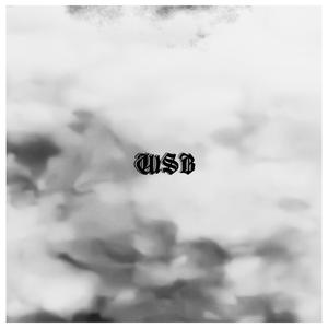 Se Voçê Se Foi Por Favor Se Vá (feat. Lil Kalunia)