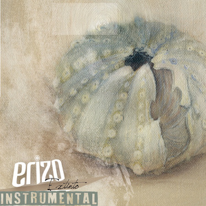 Deserción (instrumental)