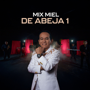 Mix Miel de Abeja 1