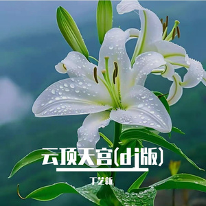 云上天宫(dj版)