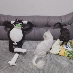 Lalalalalalalalalala