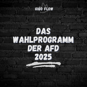 Das Wahlprogramm Der AfD 2025