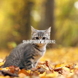 Calm Music for Feelings